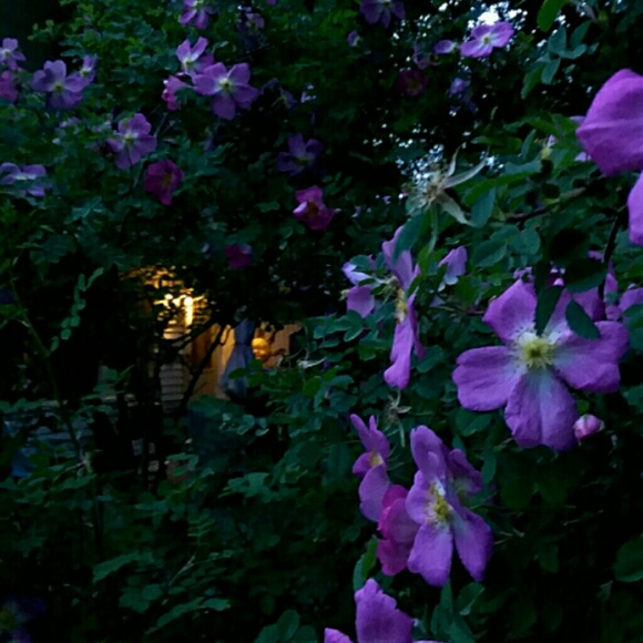 Meet your Posher, Al - Picture 2 of 2